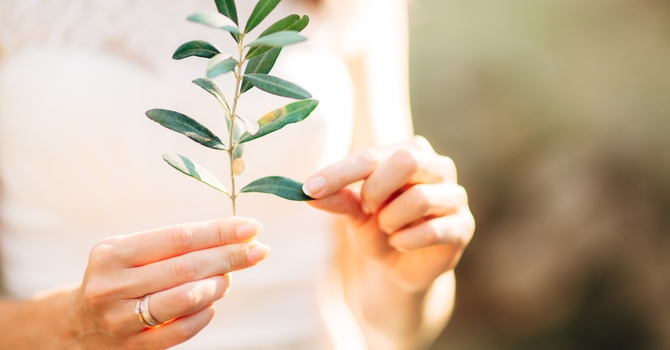 October 2025 Updated Website image